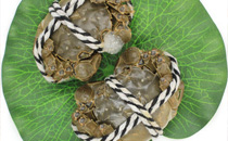 大闸蟹吐泡泡是怎么回事 大闸蟹吐泡泡的原因