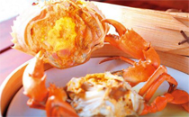 黄油蟹是什么蟹 黄油蟹是海蟹还是河蟹