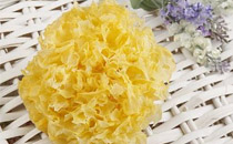 白木耳是银耳吗 银耳干的好还是鲜的好