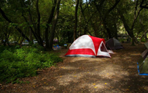野外露营需要准备什么 野外露营有哪些注意事项