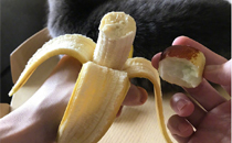 吃完香蕉吃枣是什么味道 香蕉和枣一起吃会怎样